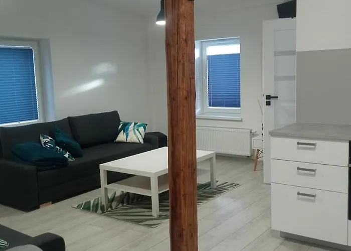 Wolnosci Apartment *